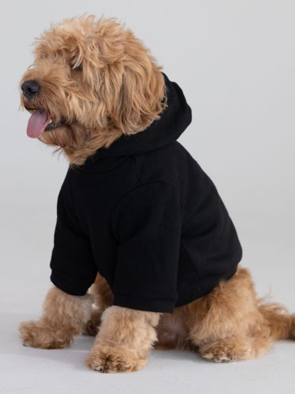 Tranquil Paw Hoodie: undefined