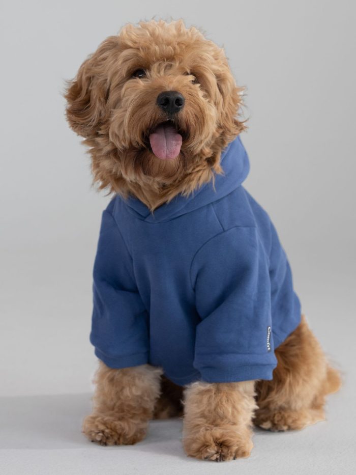 The Standard Paw Hoodie: undefined